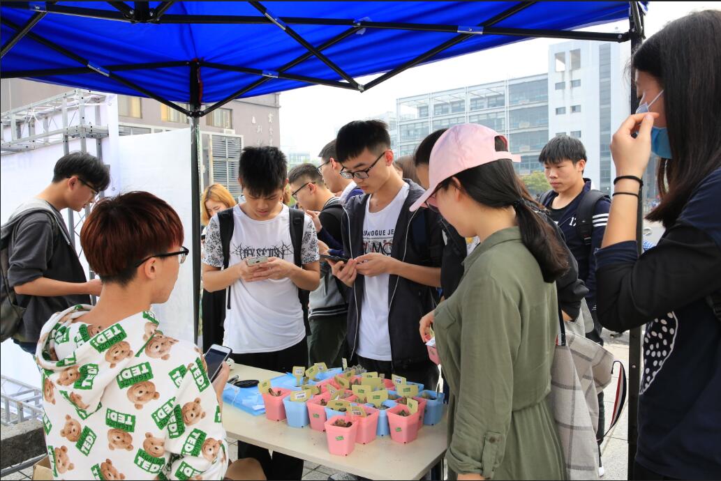 环保蓝·绿植领养